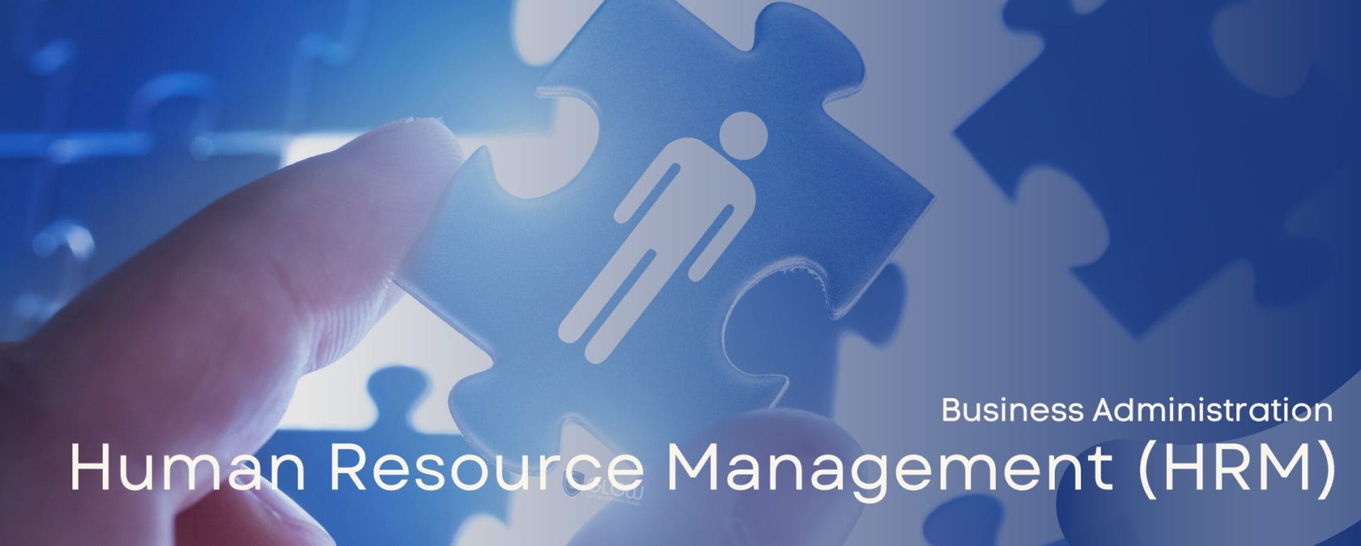 Human Resource Management (HRM) (Online) - GLOW College